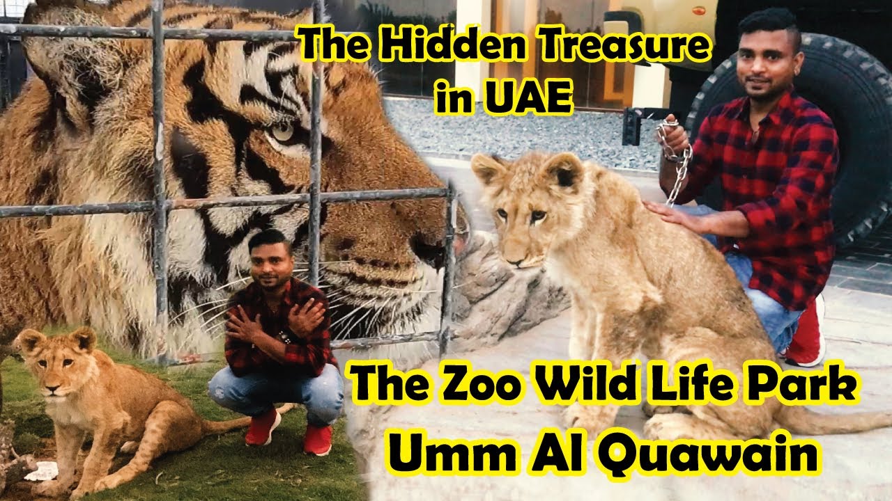 UMM AL QUWAIN ZOO | WILDLIFE PARK | Must visit place in UAE | Rajan's World | Tamil Vlog