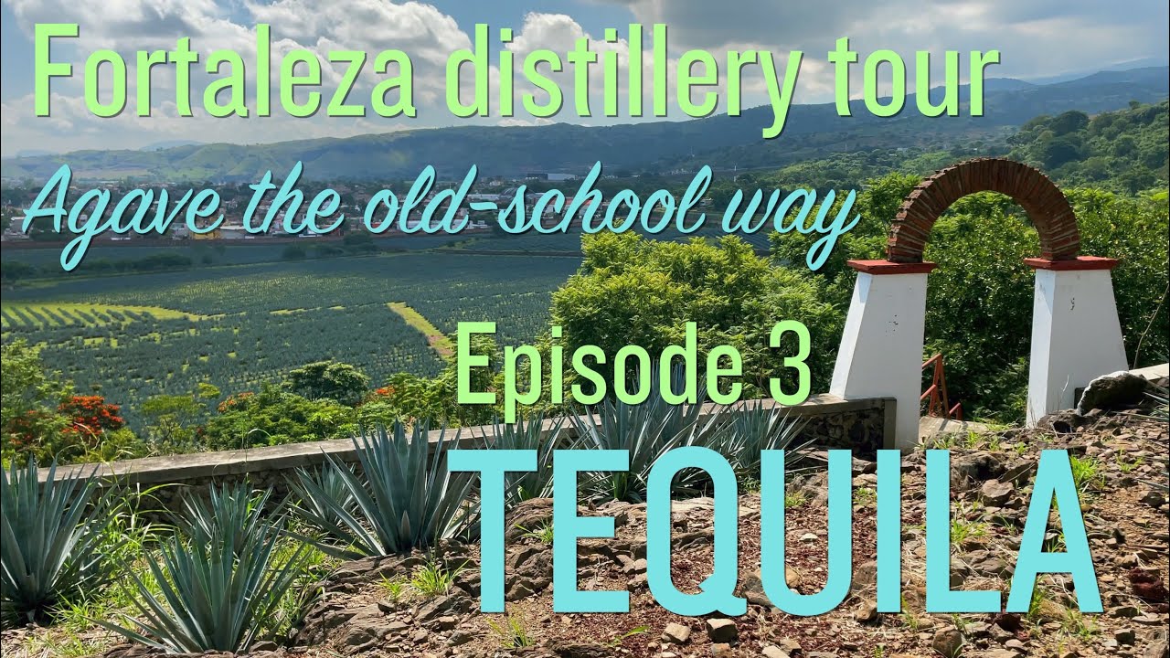 TEQUILA, JALISCO 2021  |  Touring the legendary Fortaleza distillery  |  tons of cantaritos | MEXICO