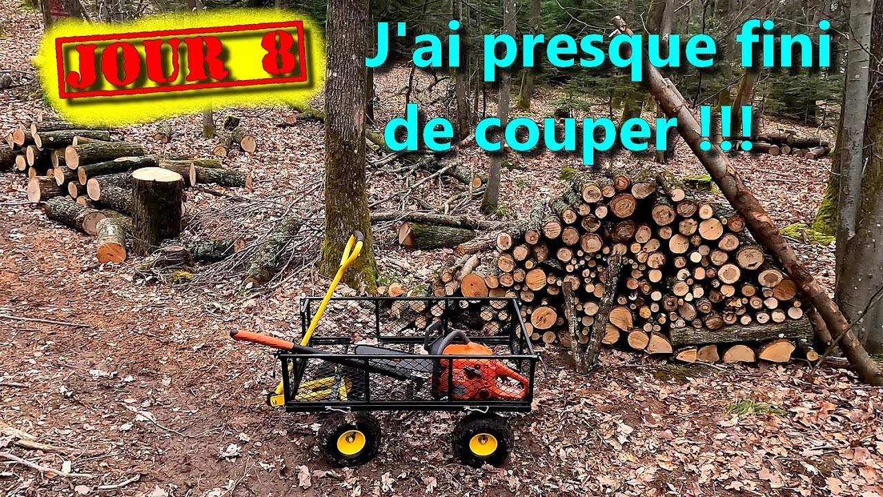 [EN MODE BUCHERON] J'ai presque fini tout le haut du lot !!!🪵🌲🪓🌳🪚