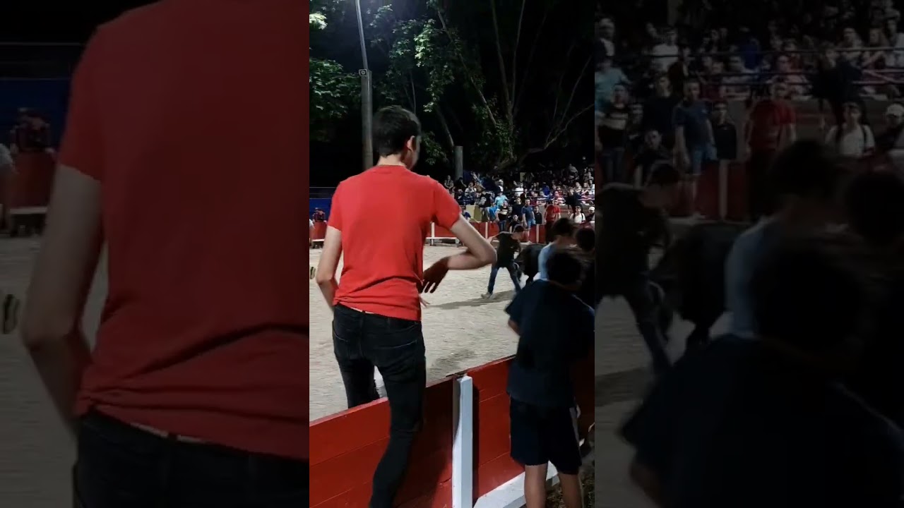 1er jour de f&eacute;ria aux ar&egrave;nes de Caissargues (30)