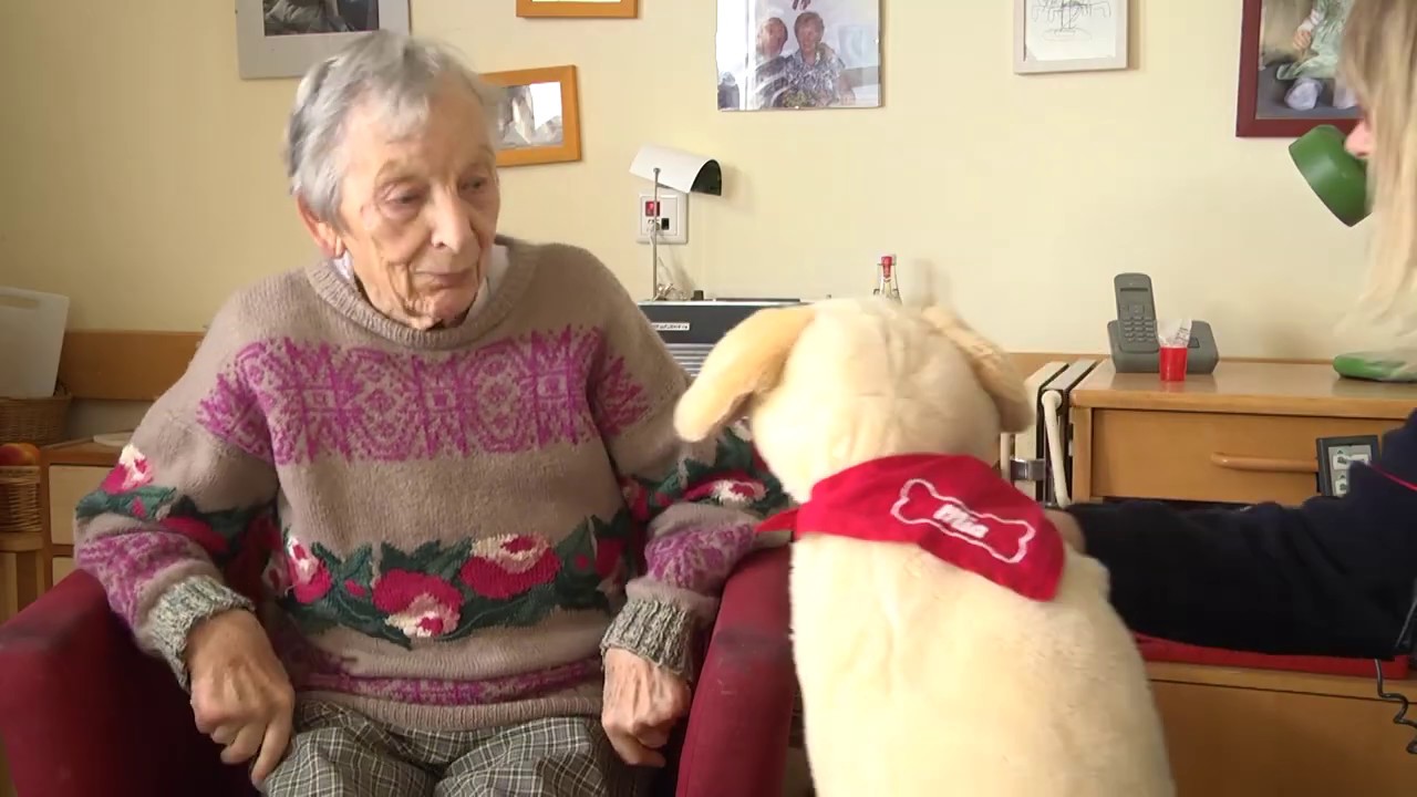 Testbild 2020 - Servicehunde im Altenheim - Können sie den Senioren den Tag verschönern?