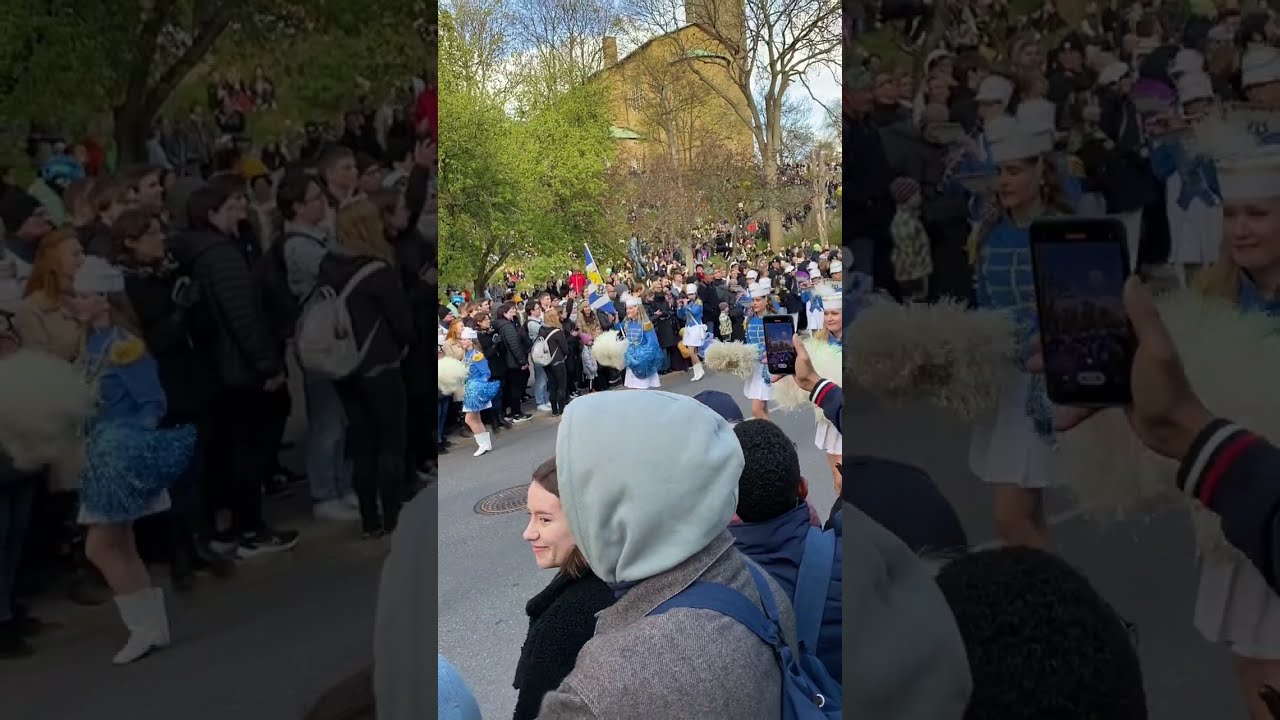Annual carnival parade | Chalmers University of Technology | The Cortège | 1