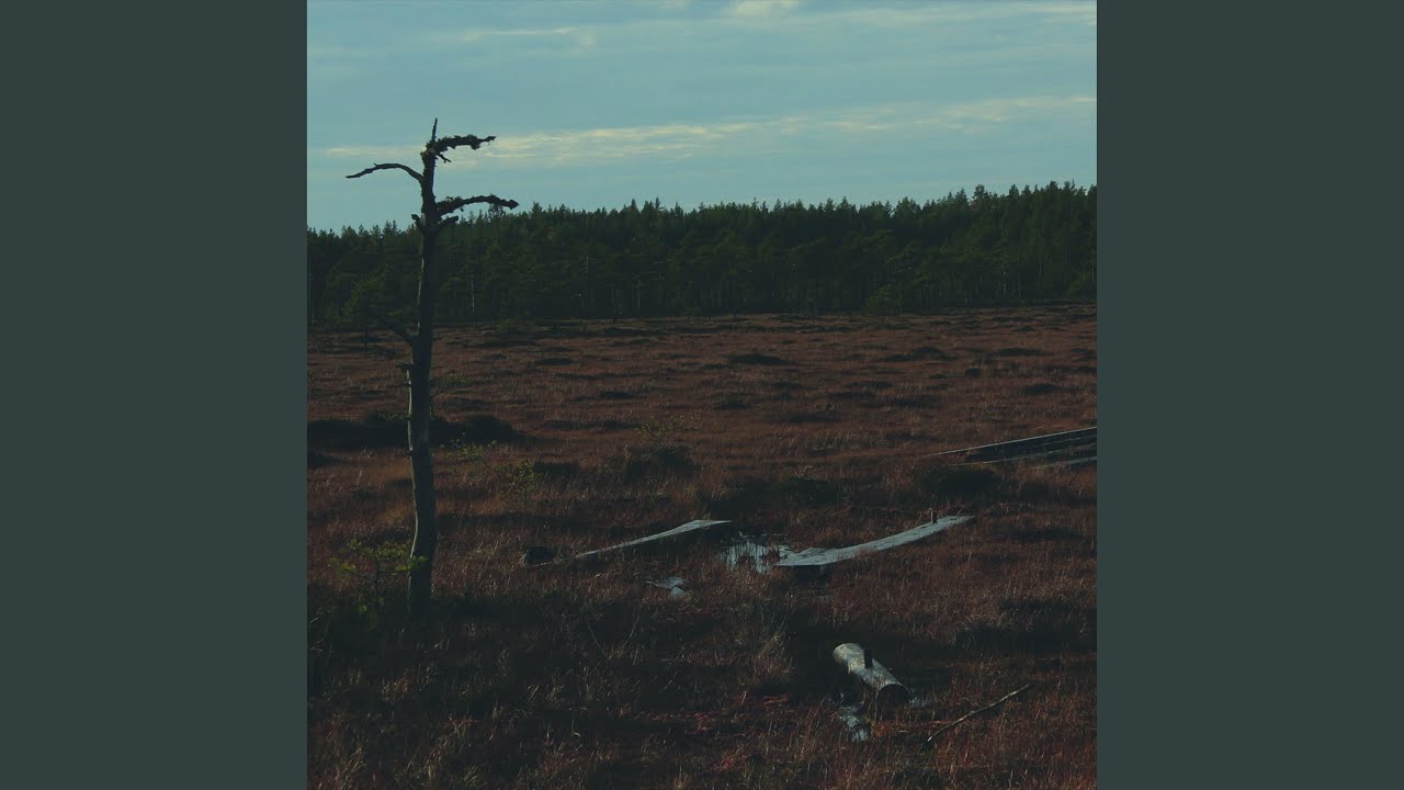 Valoon Hukkunut