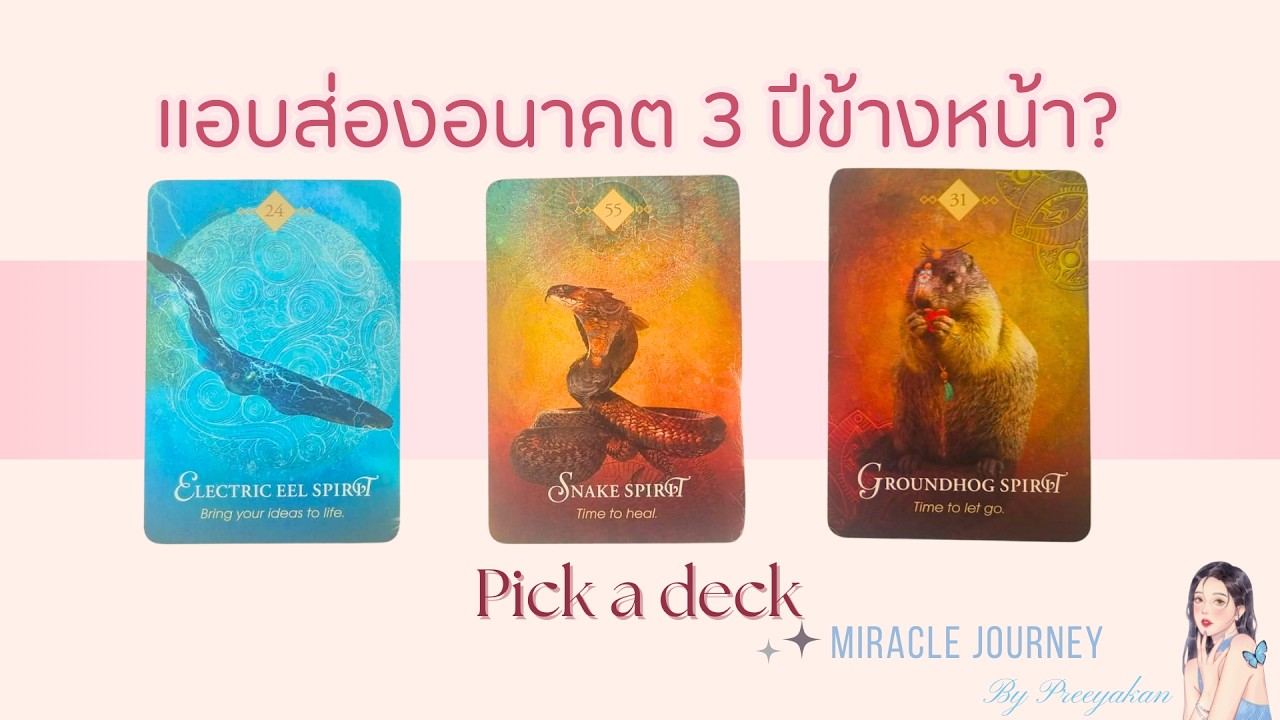 Pick a deck[EP12]แอบส่องอนาคตของคุณในอีก 3 ปีข้างหน้า