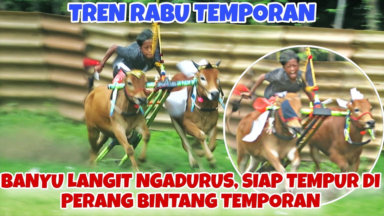 BANYU LANGIT NGADURUS MENUJU HUT PERDANA MENTERI || HARI RABU TRENNAN PADAT 🔥🔥
