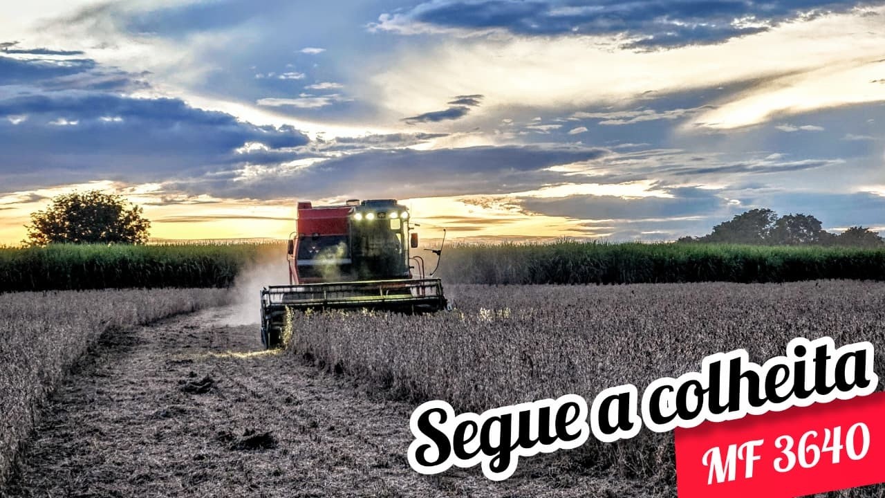 🔴Colheita de Soja quase parou mais cedo😬B.Ozim de leve