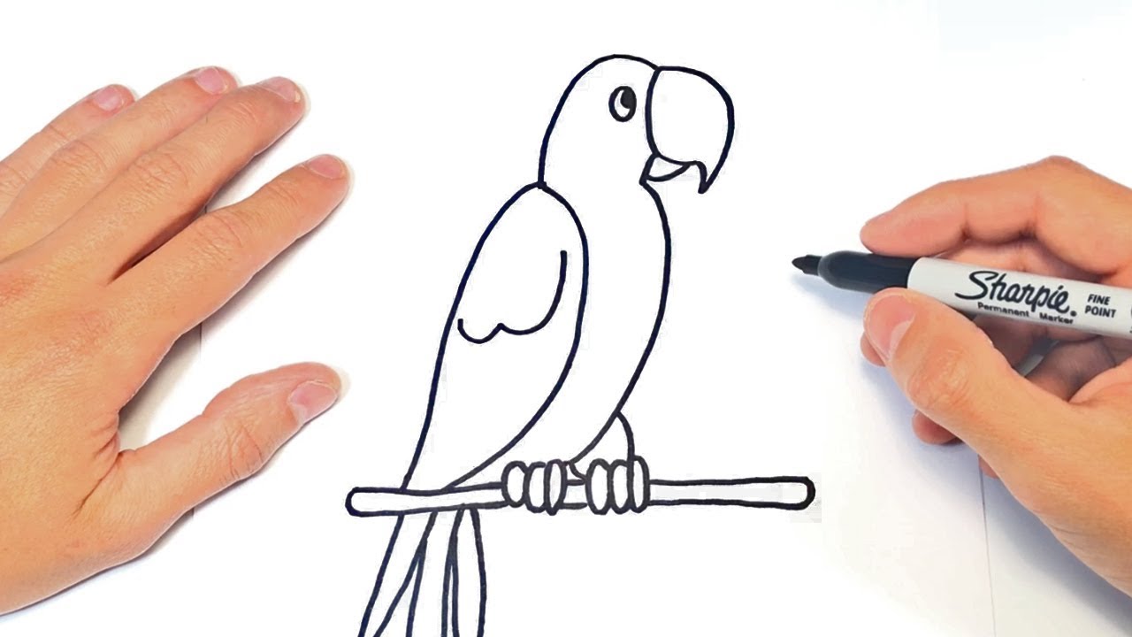 Cómo dibujar un Loro Paso a Paso | Dibujo de Loro