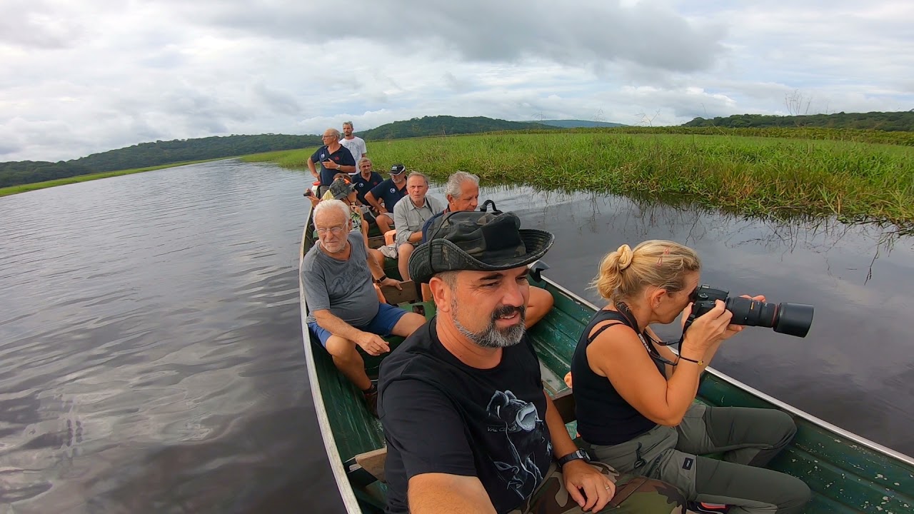 Marais de Kaw en Guyane.