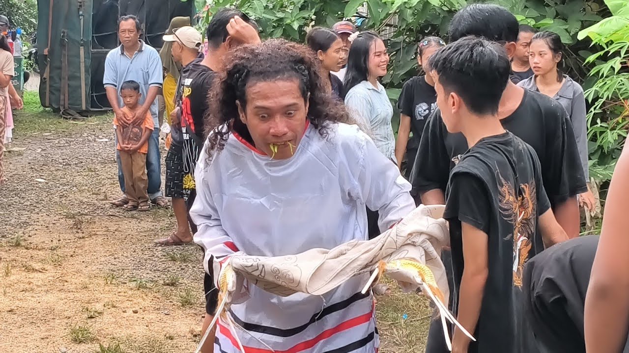 Serem ndadi ne!! Tari Rangde Barong bali #jaranan Argo Budoyo Singojuruh live Paspan Banyuwangi