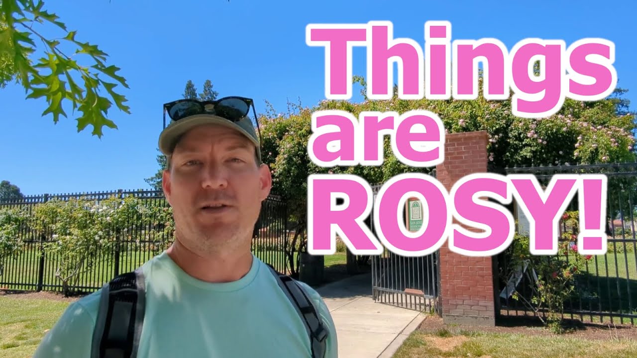 Things are Rosy! Beautiful Flowers at The Municipal Rose Garden in San Jose, California