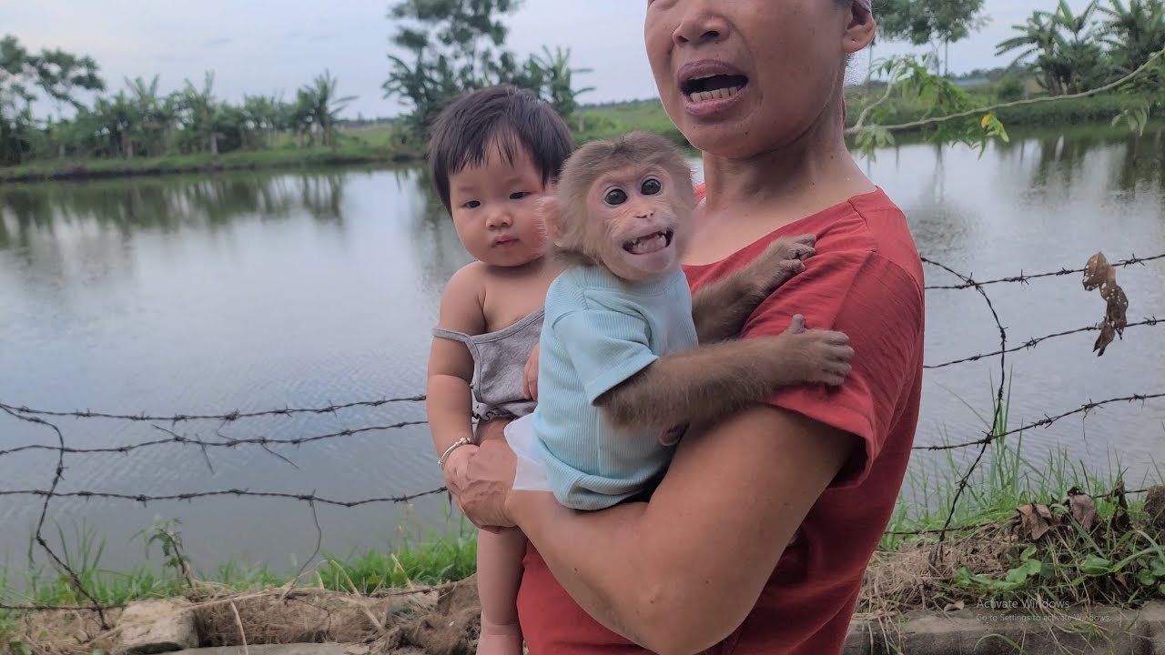 Monkey David and the baby scream loudly when Grandma takes them for a walk