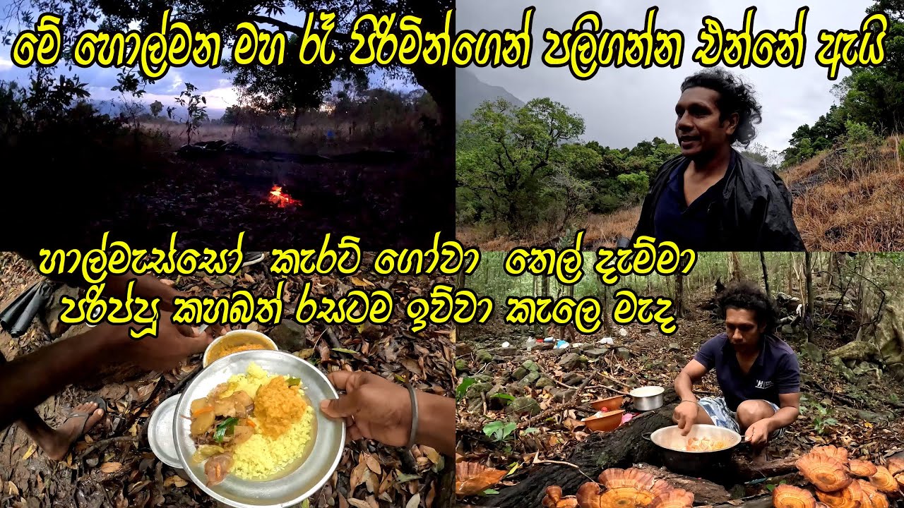 අදුරු සෙවනැලි මෙ මහා වනාන්තරේ | රසටම උයන් කෑවා මහකැලේ 😍 We Cooked Delicious Food in the forest