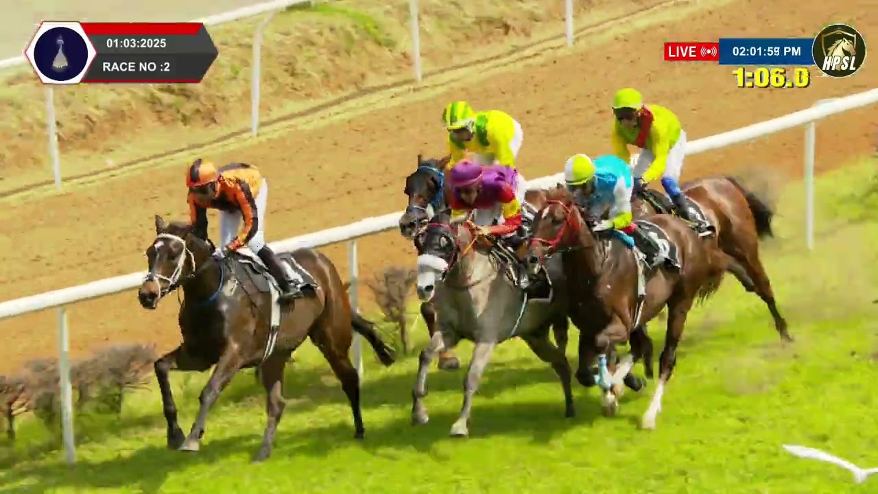 RACE NO : 198 - KING KE WINS - The Mysore Race Club Ltd Million