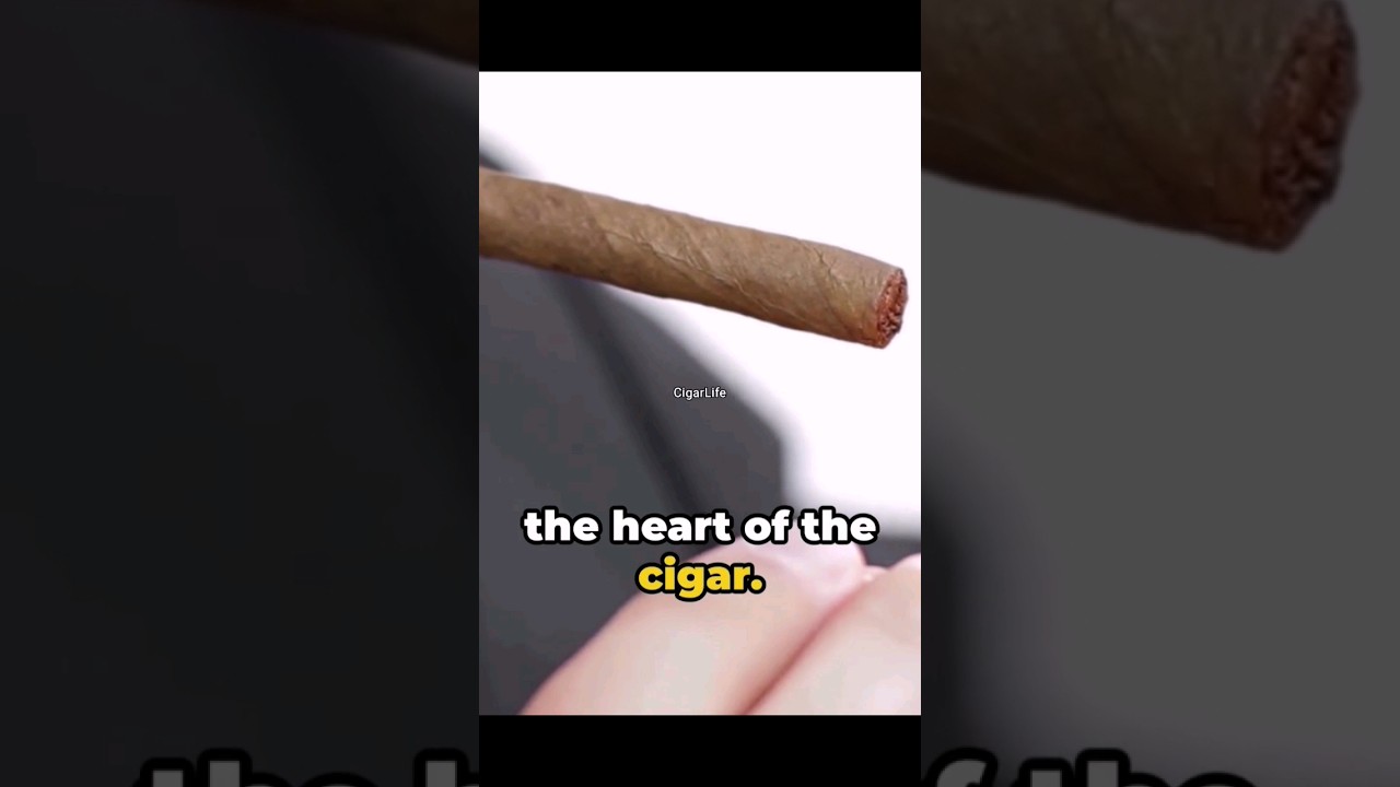 The anatomy of a cigar
