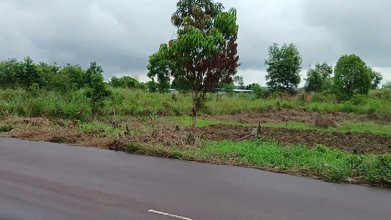 Le24/2/2026 Pr  VOS Grds TRAVAUX 1Ha A VENDRE  SUR LA Rn1 au VI ́illge NDAKU  Pe  C/MALUKU PRIX  apl