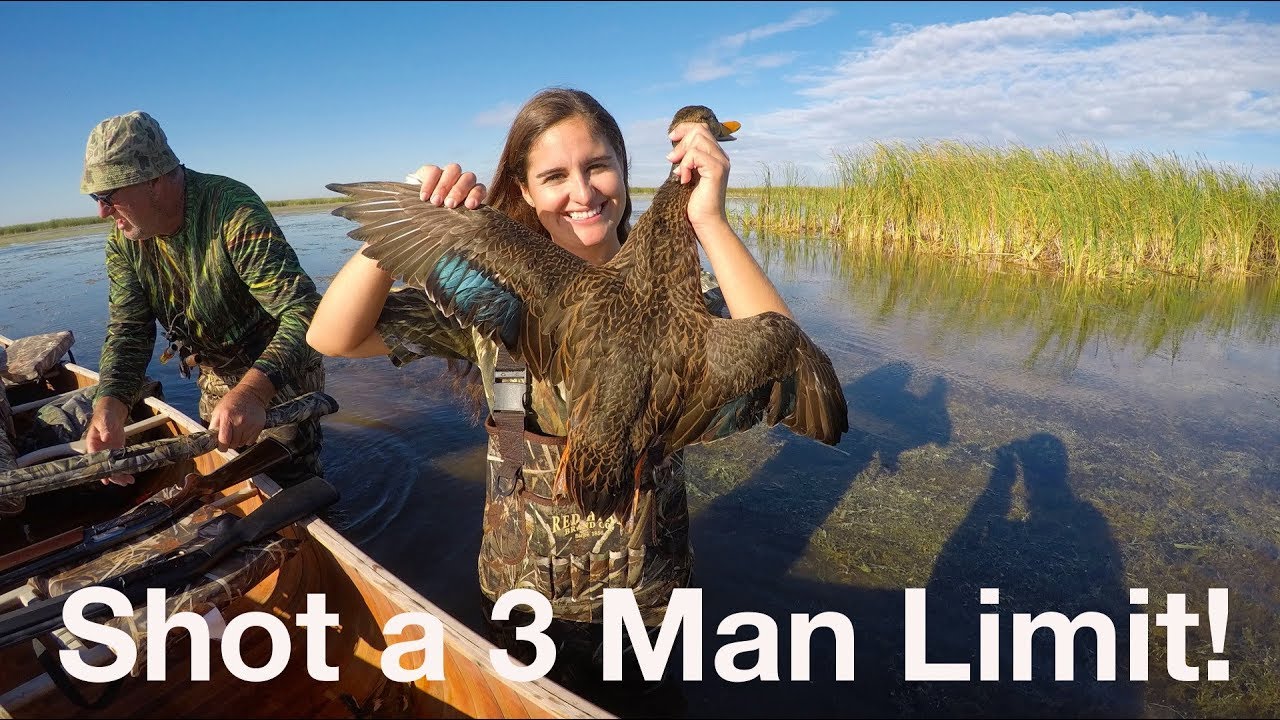 INCREDIBLE Morning of Duck Hunting!-Catch and Cook Duck Tacos!
