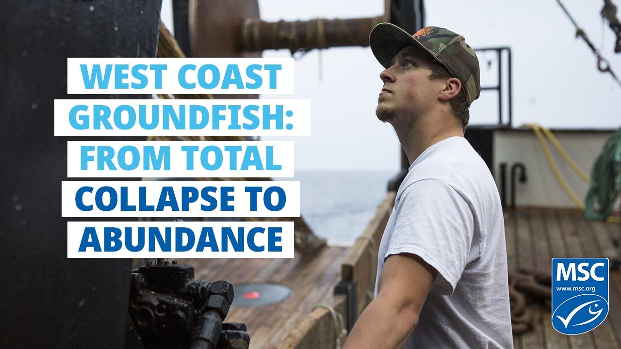 Wild Ones...of the West Coast groundfish fishery