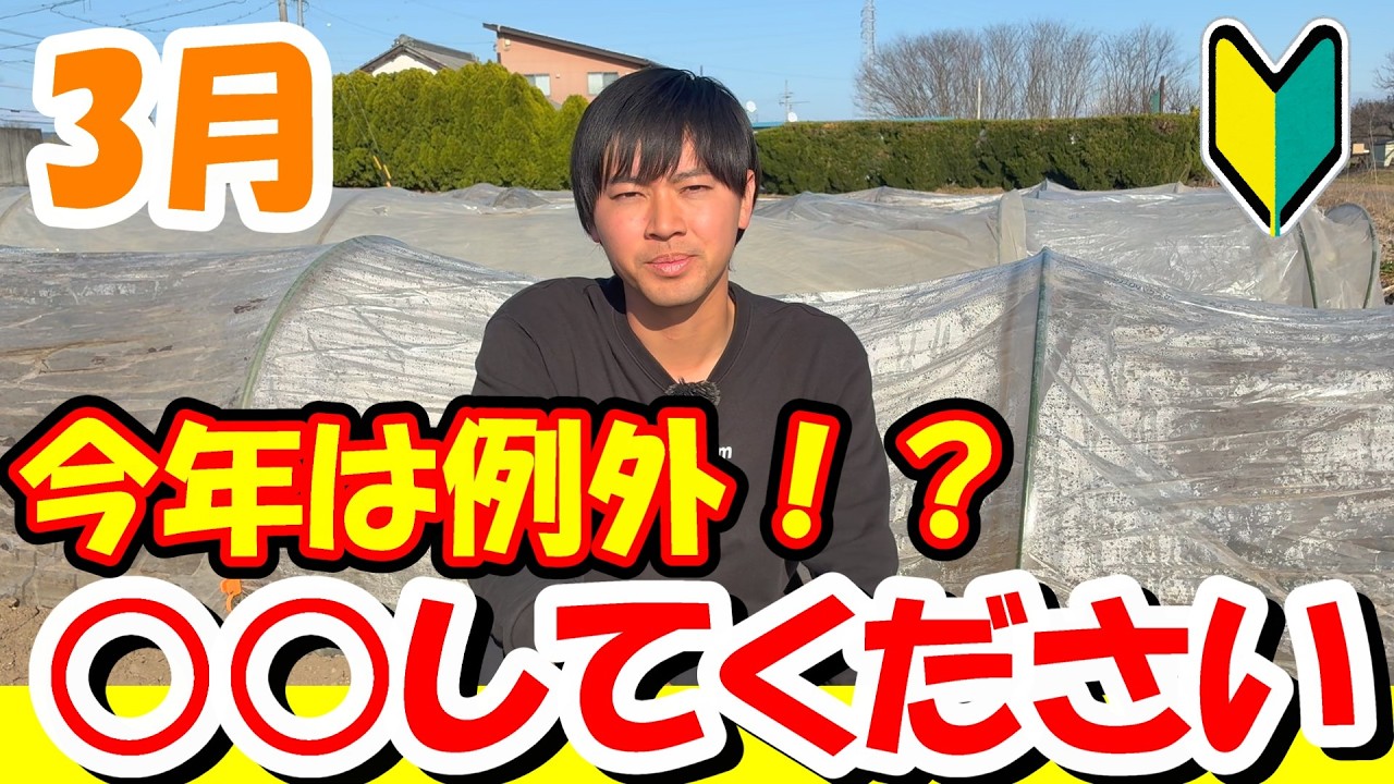 【家庭菜園】今年は例外です。3月さすがにこれやらないと失敗する可能性があります。