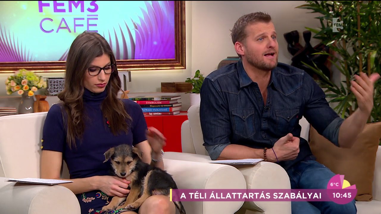Paplan helyett szalmával szigeteld a kutyaházat télen! - tv2.hu/fem3cafe