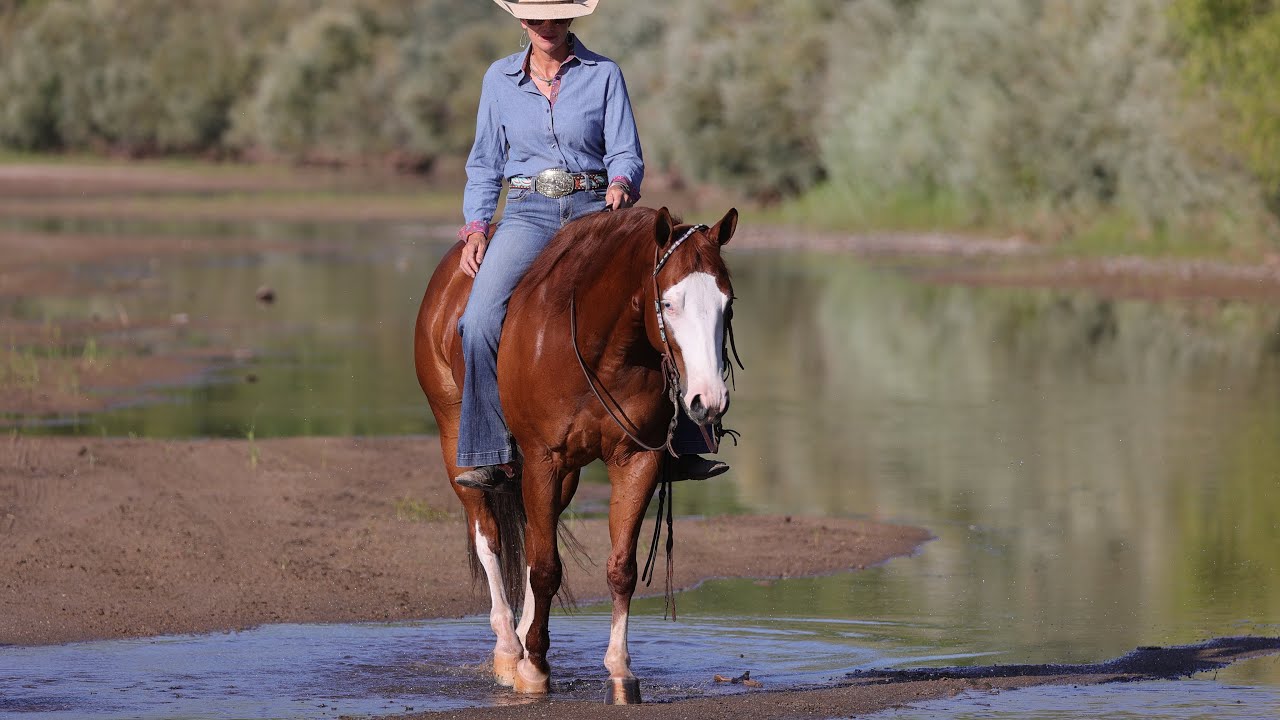 Currently Available - MIZZEN MY CASH