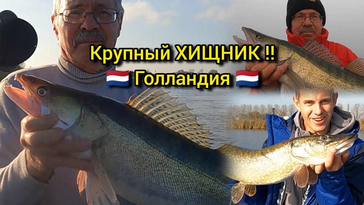 Рыбалка на крупного хищника в Голландии, судак и щука!