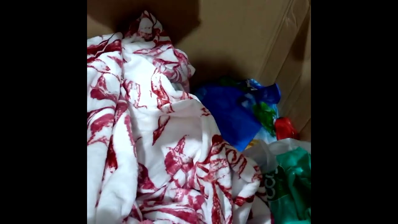 Unboxing Cargo Box,MSM International cargo/lupinblog ontolan