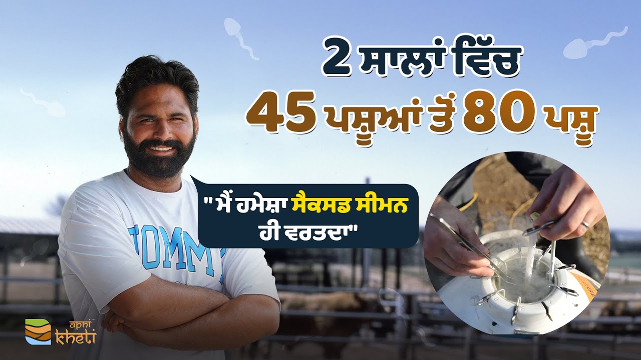 5 ਗਾਵਾਂ ਤੋਂ 80+ ਤੱਕ | ਭੁੱਲਰ ਡੇਅਰੀ ਫਾਰਮ ਦੀ ਸਫਲਤਾ ਦੀ ਕਹਾਣੀ | Bhullar Dairy Farm Success Story |