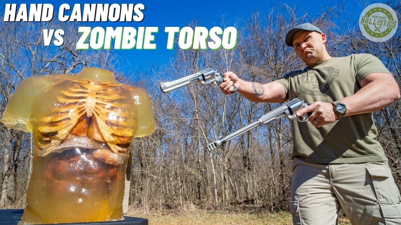HAND CANNONS vs ZOMBIE TORSO 🧟&zwj;♂️