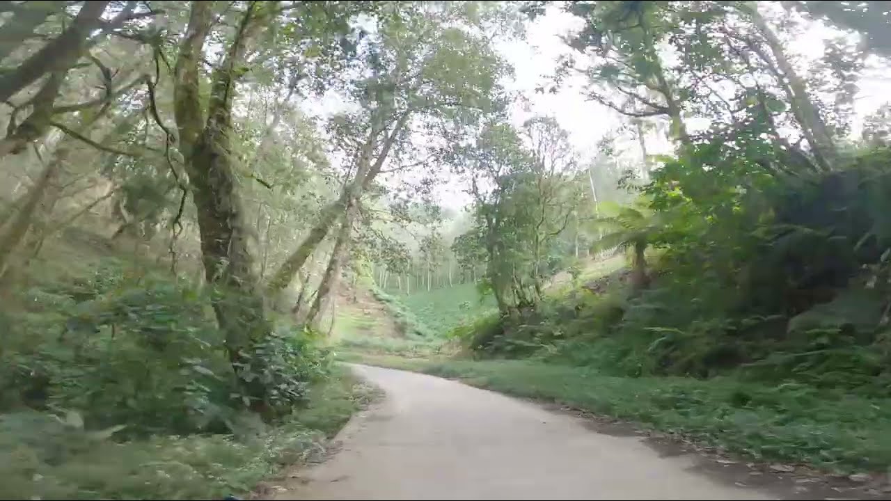 JALUR KE BUKIT JAMUR, RANCA BOLANG DAN MELIHAT KE INDAHAN GUNUNG MAYAT 