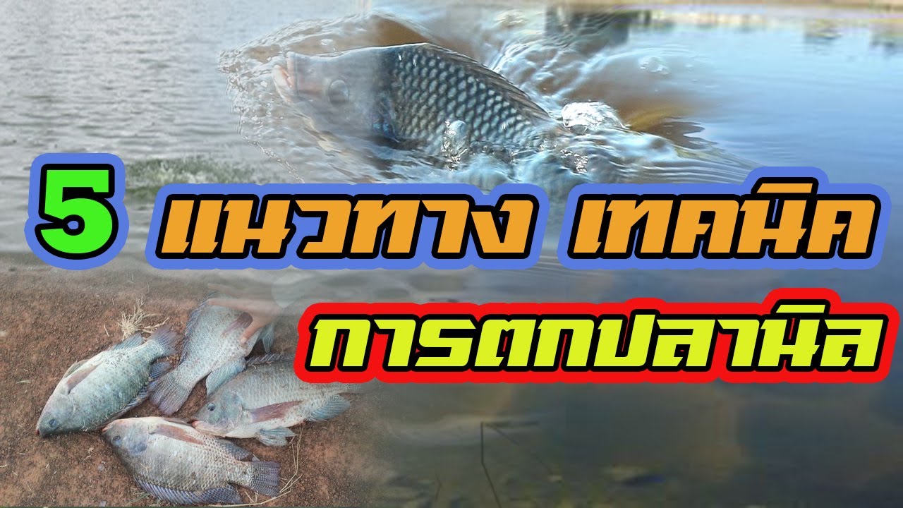 5 แนวทาง | เทคนิค การตกปลานิล |