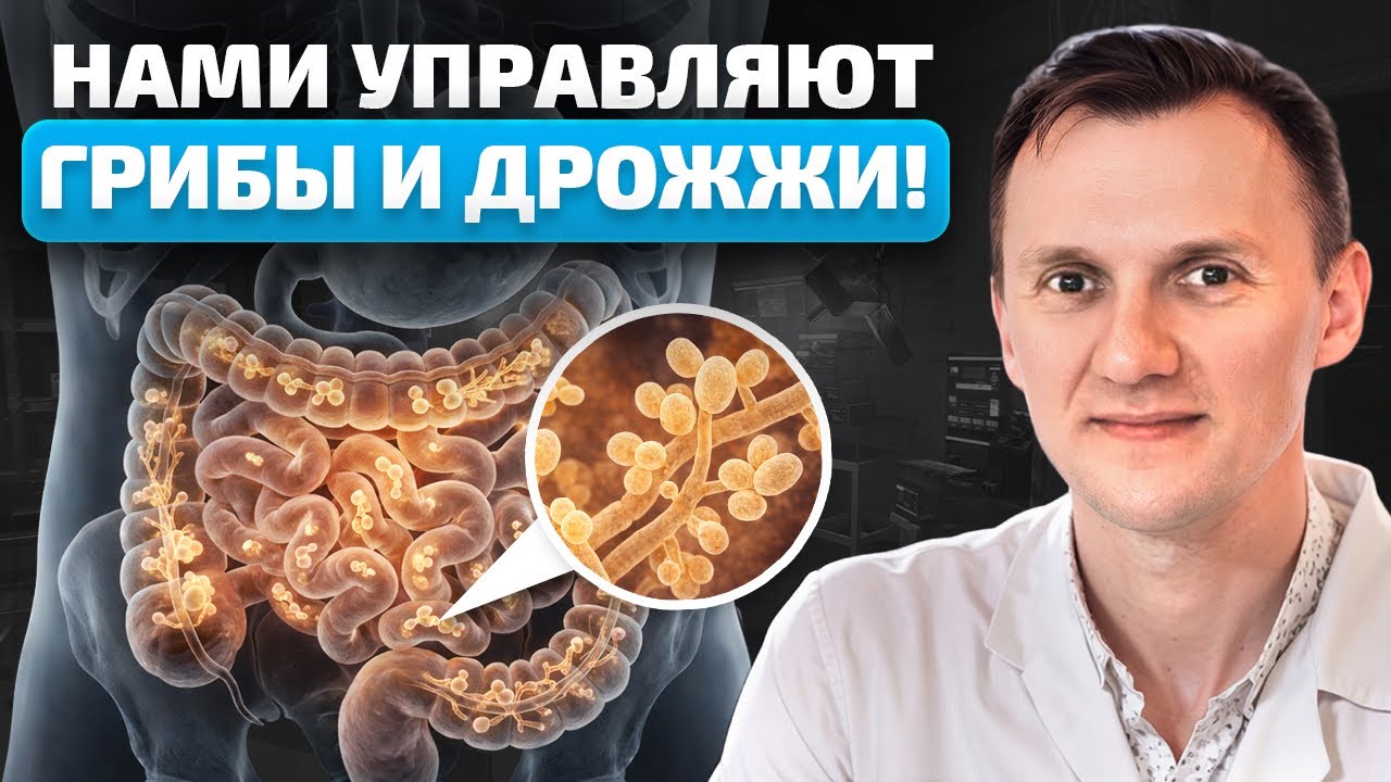 НАМИ УПРАВЛЯЮТ ГРИБЫ, САХАР И ДРОЖЖИ! Какие ПРОДУКТЫ кормят и РАЗМНОЖАЮТ кандидоз?! Советы лечения!