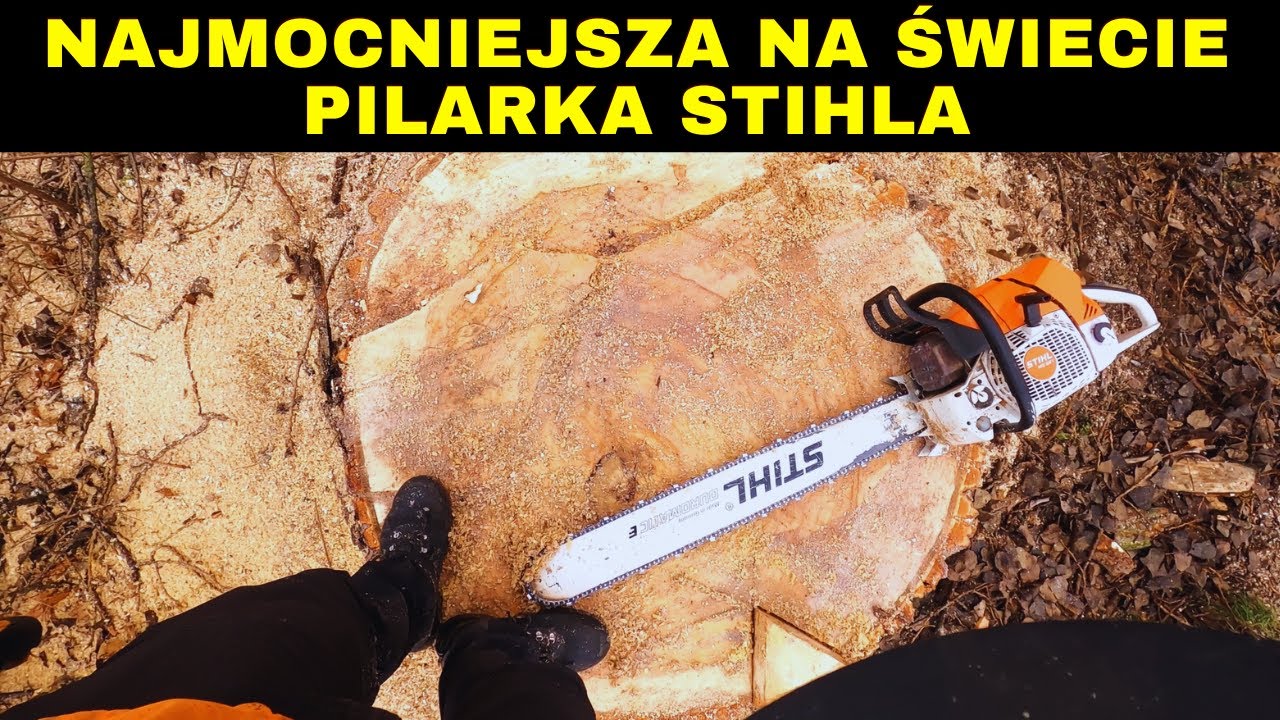 OGROMNA TOPOLA I NAJMOCNIEJSZA SERYJNA PILARKA STIHL MS881 - Obalanie pnia i co sądzę o MS881