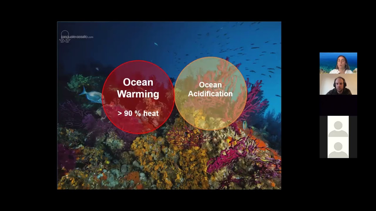Nuria Teixido - How global environmental change affects marine biodiversity