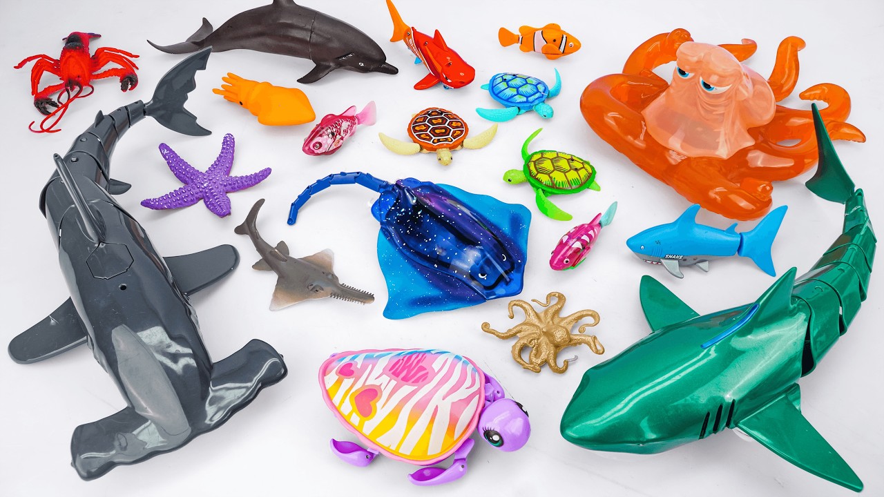 [🐋toy asmr🐋] Killer Whale + Octopus + Green Shark & Dino Battle Toys ASMR🌟Review Toys