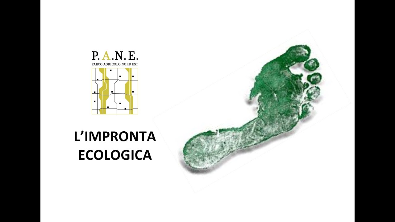 L' IMPRONTA ECOLOGICA