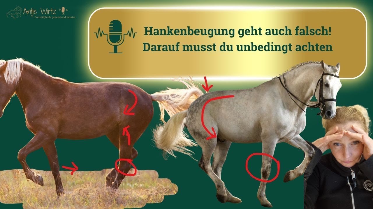 Hankenbeugung geht auch falsch! Darauf musst du unbedingt achten