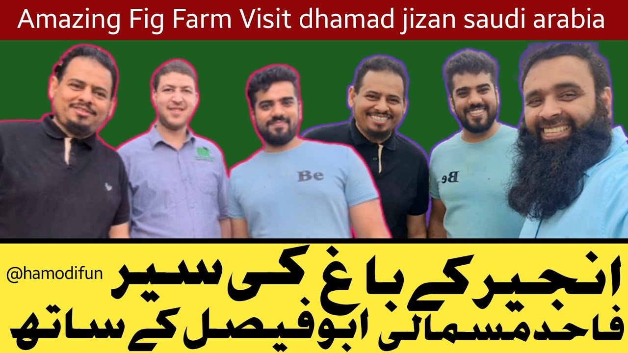 Today Amazing Fig Farm Visit |Damad  Jazan Saudi Arabia |@MalikAsif99786