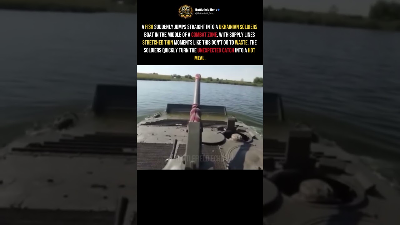 Fish Jumps Into Ukrainian Soldiers&rsquo; Boat 🎣 #shorts