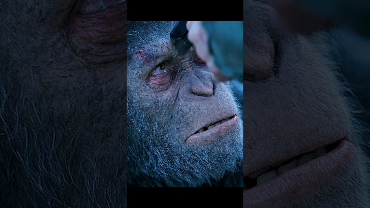 🔥 Caesar Defies the Colonel | War for the Planet of the Apes
