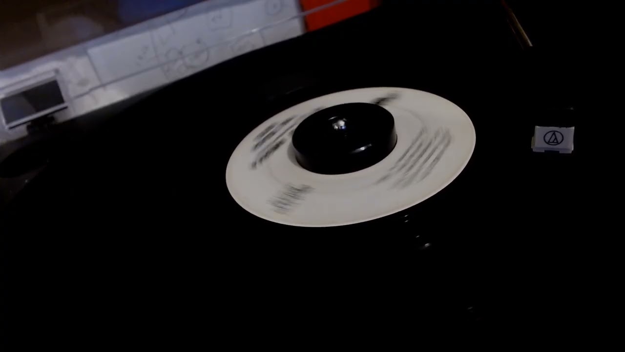 The Beach Boys - Spirit of America - 45 rpm