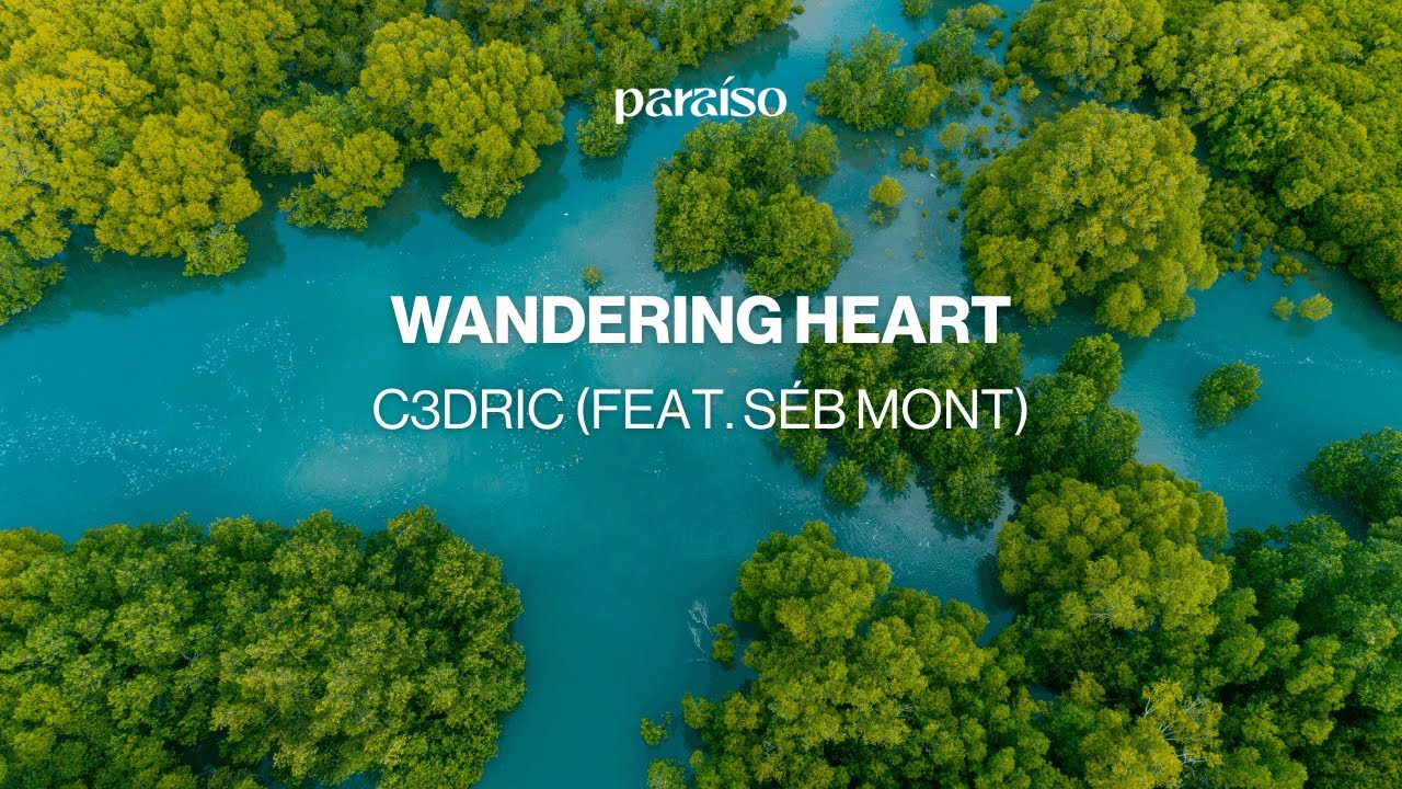 C3DRIC (feat. Séb Mont) - Wandering Heart (Music Video)