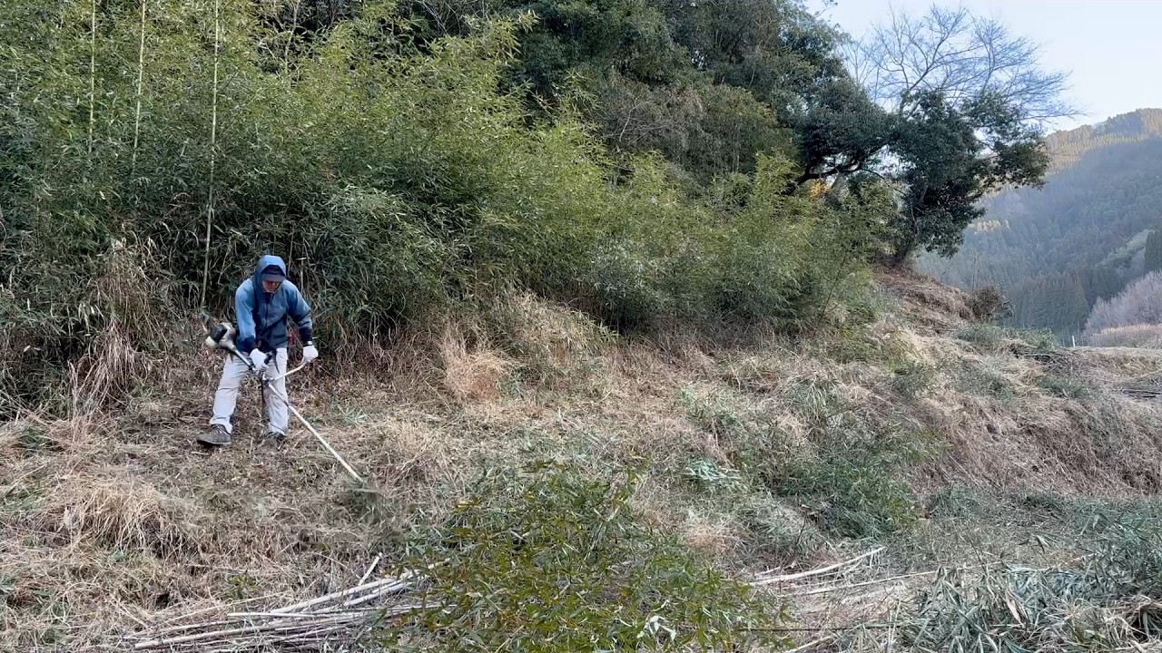 荒廃した山の整備〜竹藪の片付け2026/02 15−01