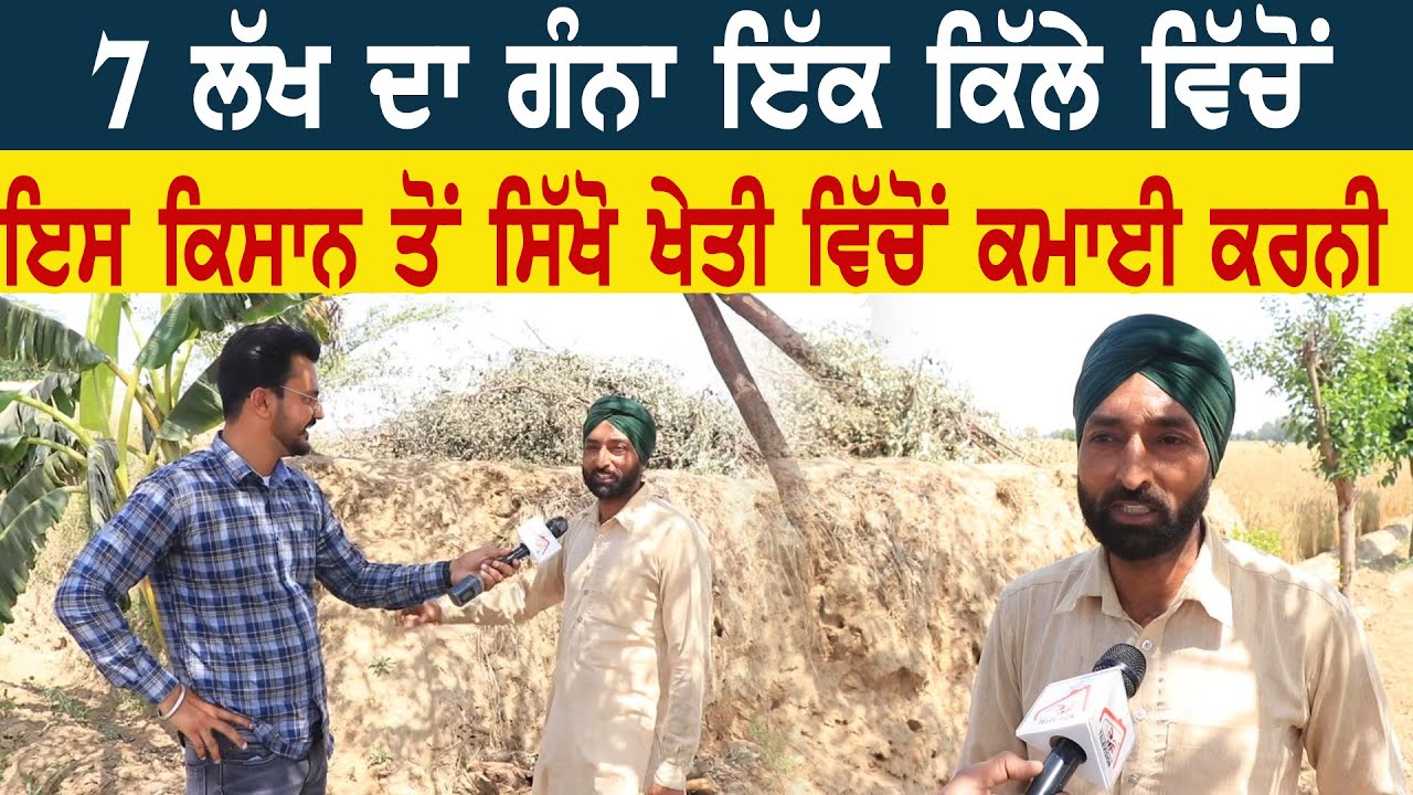 7 ਲੱਖ ਦਾ ਗੰਨਾ ਇੱਕ ਕਿੱਲੇ ਵਿੱਚੋਂ,ਇਸ ਕਿਸਾਨ ਤੋਂ ਸਿੱਖੋ ਖੇਤੀ ਵਿੱਚੋਂ ਕਮਾਈ ਕਰਨੀ।