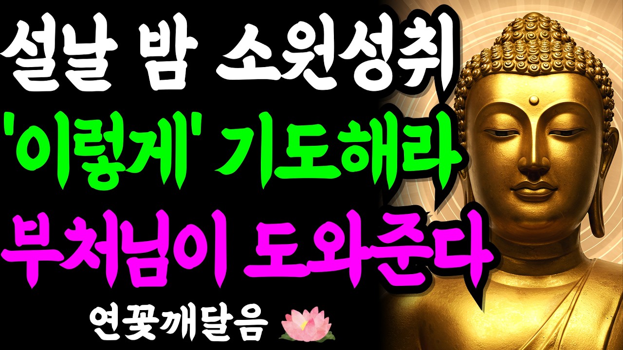 설날 밤 '이렇게' 기도하면 올해 소원, 부처님이 도와주십니다 | 부처님 말씀 | 석가모니 | 불교명언 | 불교오디오북