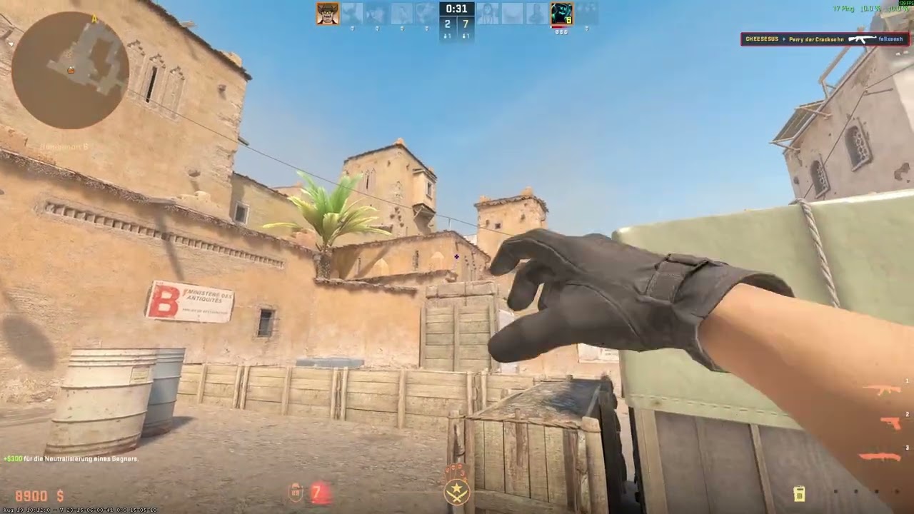 CS2 Clips pt.10