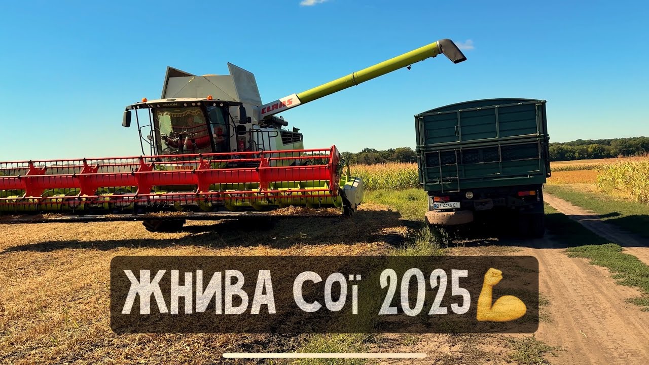 ВРОЖАЙ є👍Оце тепер і думай🤔соя АПОЛЛО 600тис,КУЧЕРЯВА соя Краун по 53 тис тона😱