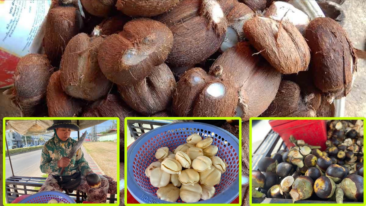 Amazing !! Selling palm fruit is a business in Cambodia || Cambodia Street Food