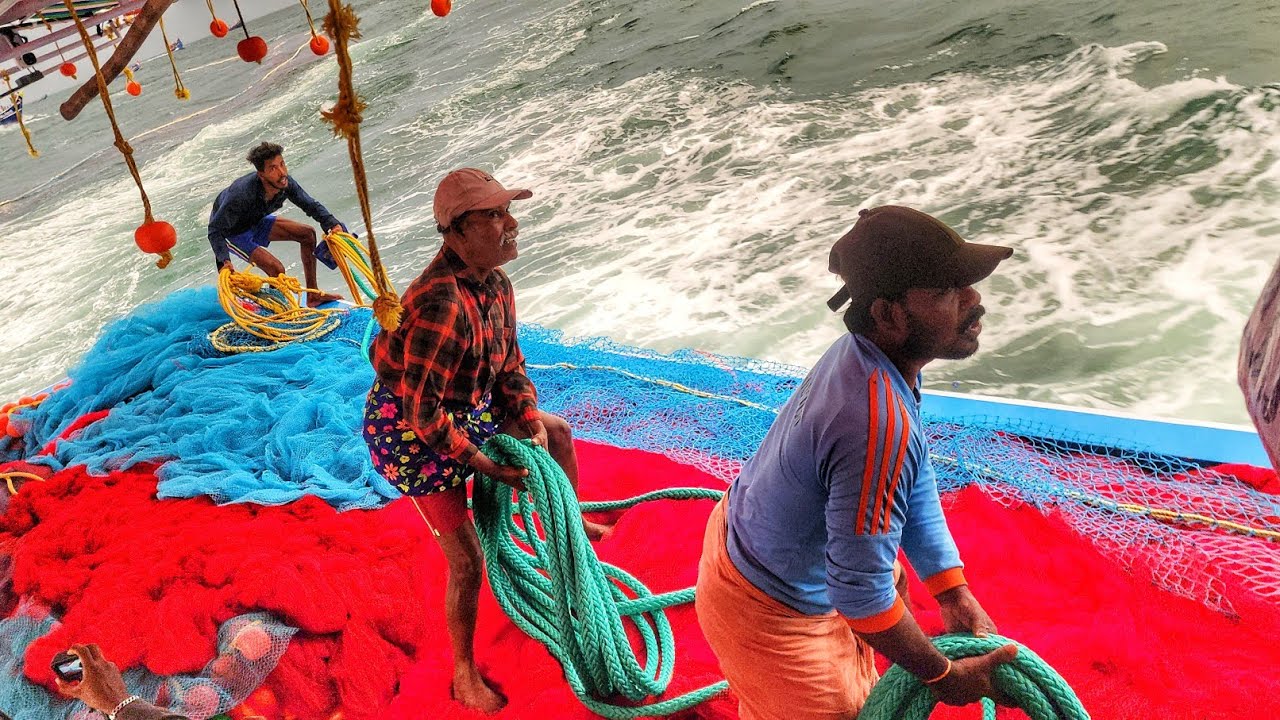 டன் கணக்கில் இறால் இப்படி தான் பிடிப்போம் This is how we catch tons of shrimp