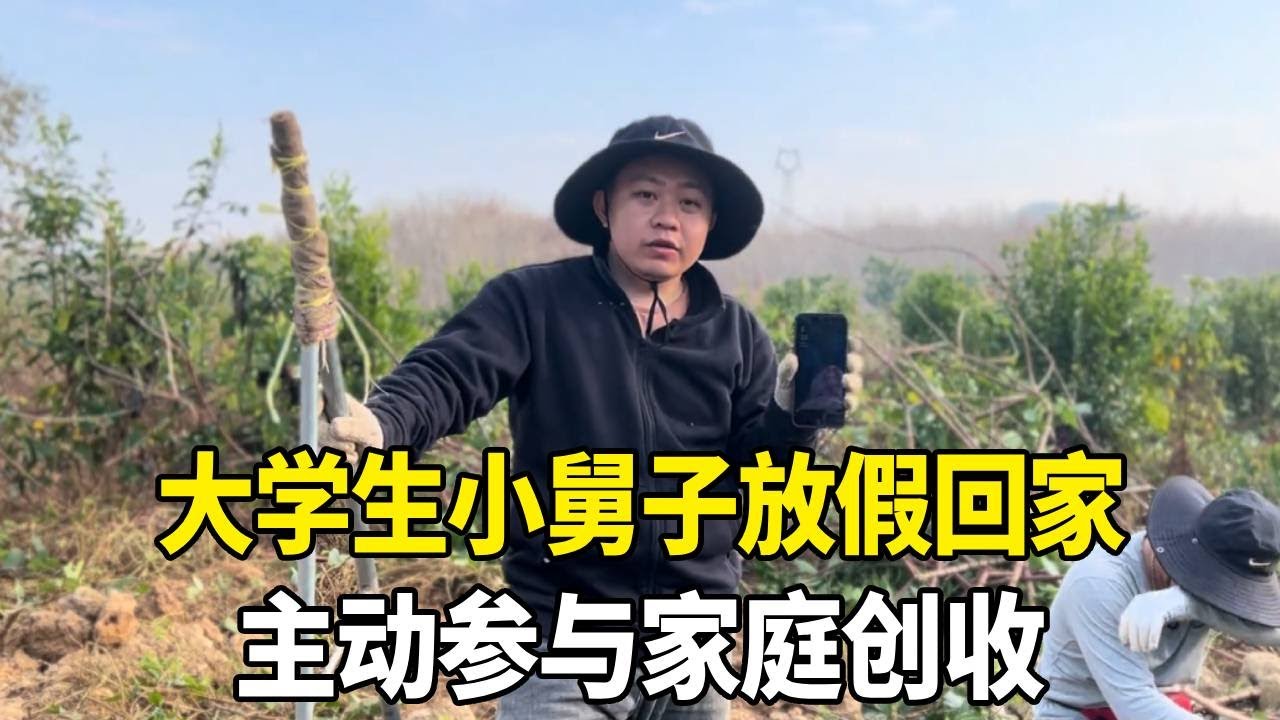 大学生小舅子放假回家，主动参与家庭创收，有担当的小伙子！【老挝媳妇中国老公】