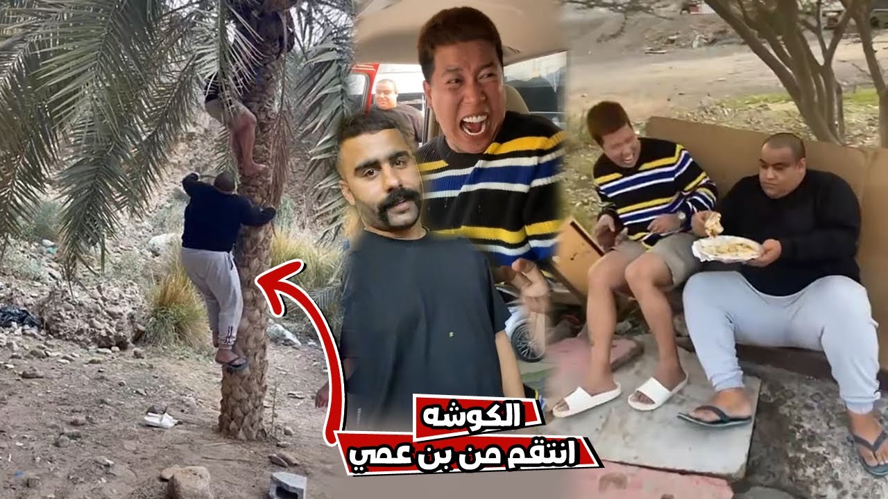 بوشنب الكوشه اخذ حقه من بن عمي